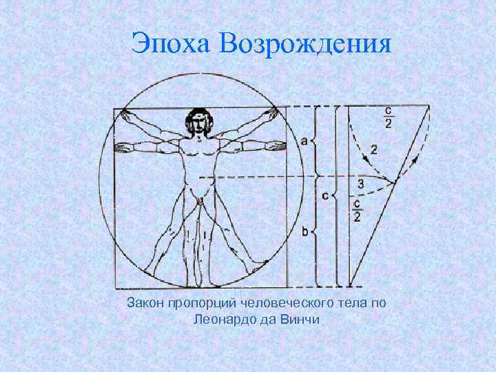Эпоха Возрождения Закон пропорций человеческого тела по Леонардо да Винчи 