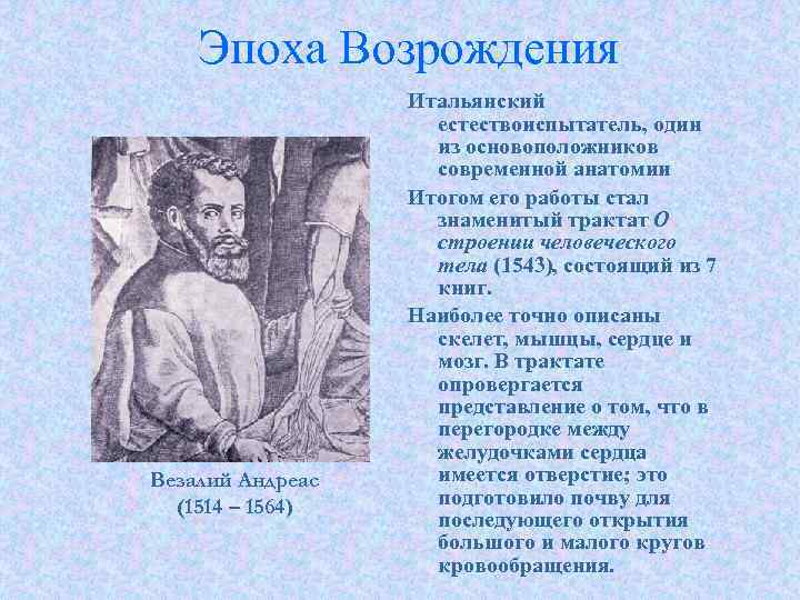 Эпоха Возрождения Везалий Андреас (1514 – 1564) Итальянский естествоиспытатель, один из основоположников современной анатомии