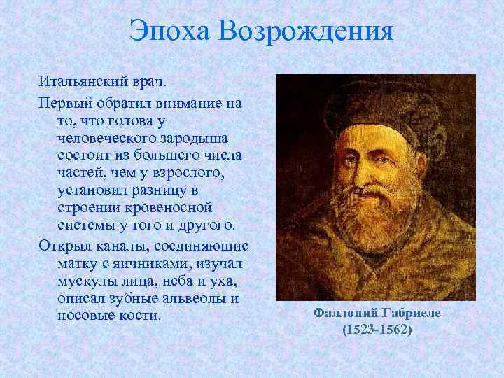 Эпоха Возрождения Итальянский врач. Первый обратил внимание на то, что голова у человеческого зародыша