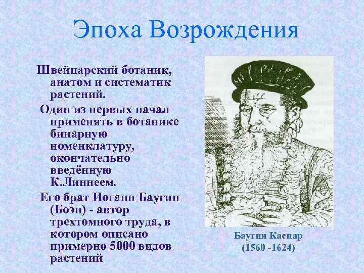 Эпоха Возрождения Швейцарский ботаник, анатом и систематик растений. Один из первых начал применять в