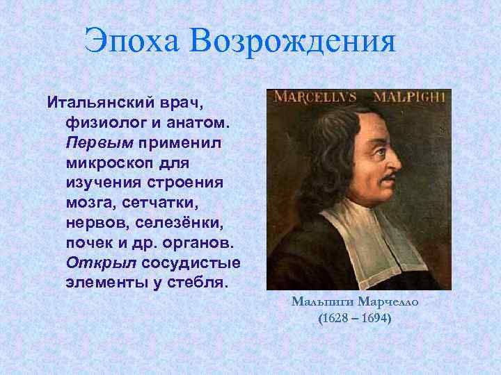 Эпоха Возрождения Итальянский врач, физиолог и анатом. Первым применил микроскоп для изучения строения мозга,