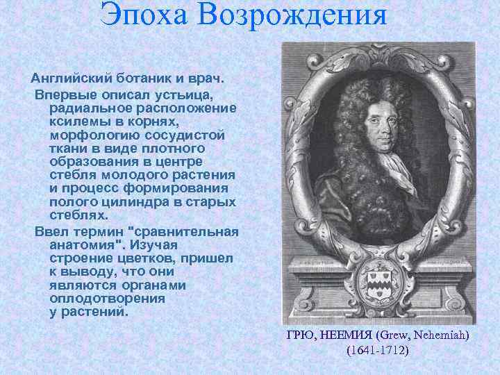 Эпоха Возрождения Английский ботаник и врач. Впервые описал устьица, радиальное расположение ксилемы в корнях,