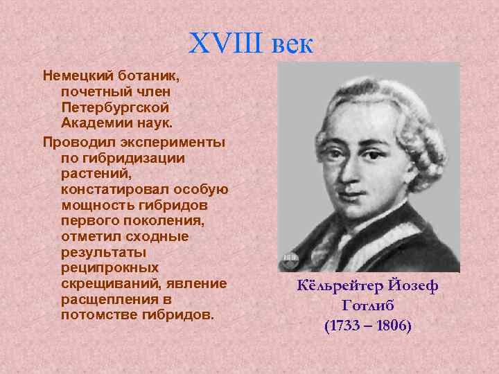 XVIII век Немецкий ботаник, почетный член Петербургской Академии наук. Проводил эксперименты по гибридизации растений,