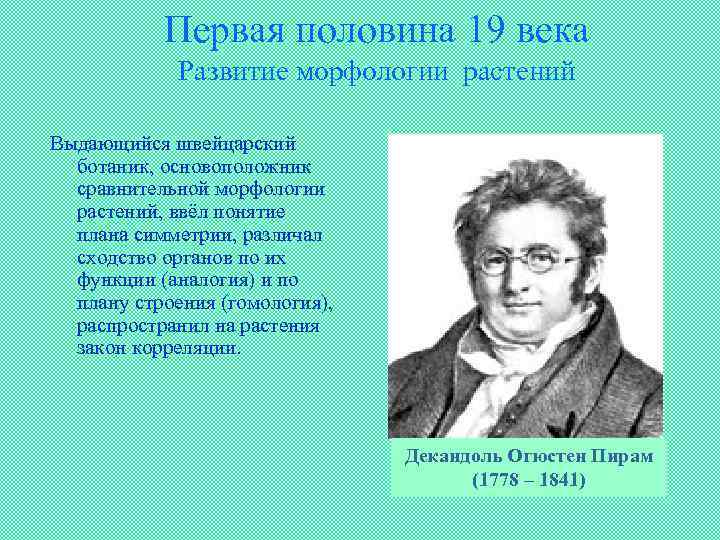 Первая половина 19 века Развитие морфологии растений Выдающийся швейцарский ботаник, основоположник сравнительной морфологии растений,