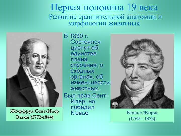 Первая половина 19 века Развитие сравнительной анатомии и морфологии животных В 1830 г. Состоялся