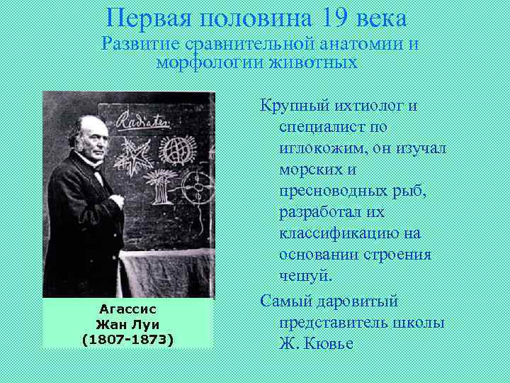 Первая половина 19 века Развитие сравнительной анатомии и морфологии животных Агассис Жан Луи (1807