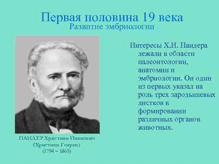 Первая половина 19 века Развитие эмбриологии Интересы Х. И. Пандера лежали в области палеонтологии,