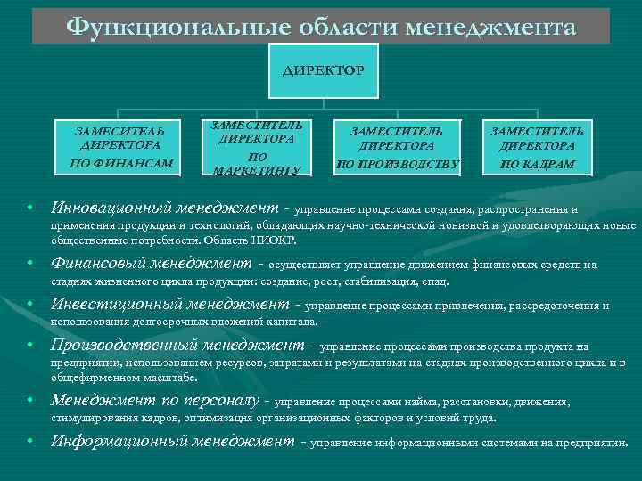Функциональные области менеджмента ДИРЕКТОР ЗАМЕСИТЕЛЬ ДИРЕКТОРА ПО ФИНАНСАМ ЗАМЕСТИТЕЛЬ ДИРЕКТОРА ПО МАРКЕТИНГУ ЗАМЕСТИТЕЛЬ ДИРЕКТОРА