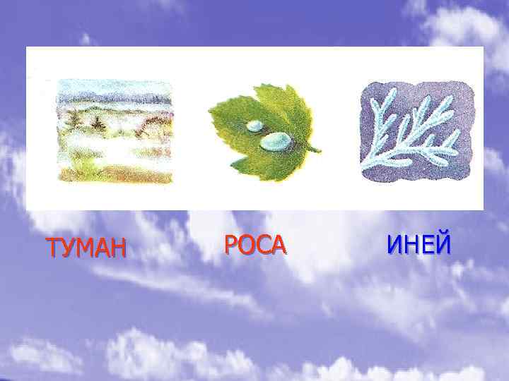 ТУМАН РОСА ИНЕЙ 