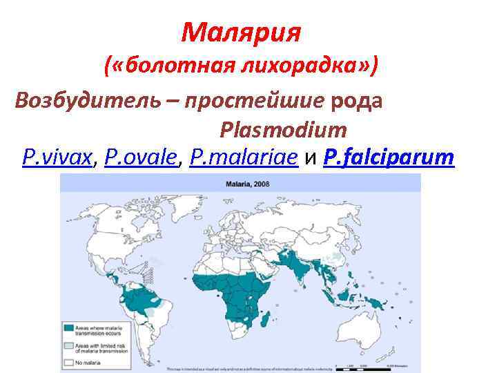 Малярия ( «болотная лихорадка» ) Возбудитель – простейшие рода Plasmodium P. vivax, P. ovale,