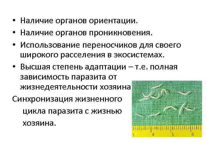  • Наличие органов ориентации. • Наличие органов проникновения. • Использование переносчиков для своего