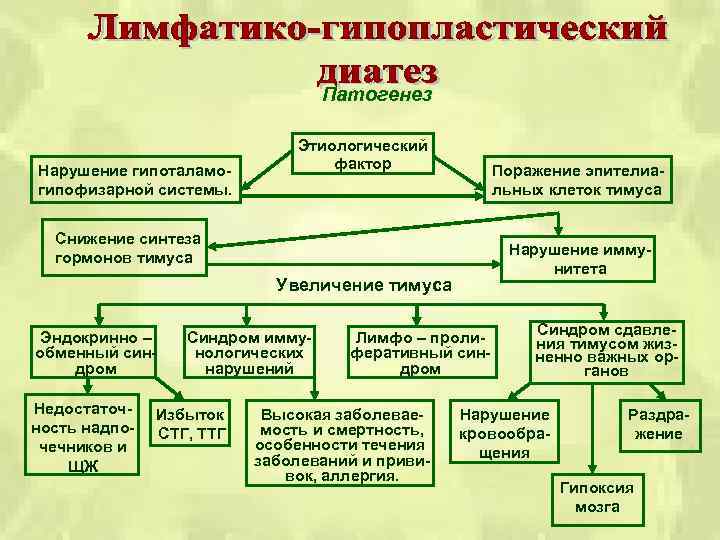 Патогенез Нарушение гипоталамо гипофизарной системы. Этиологический фактор Поражение эпителиа льных клеток тимуса Снижение синтеза