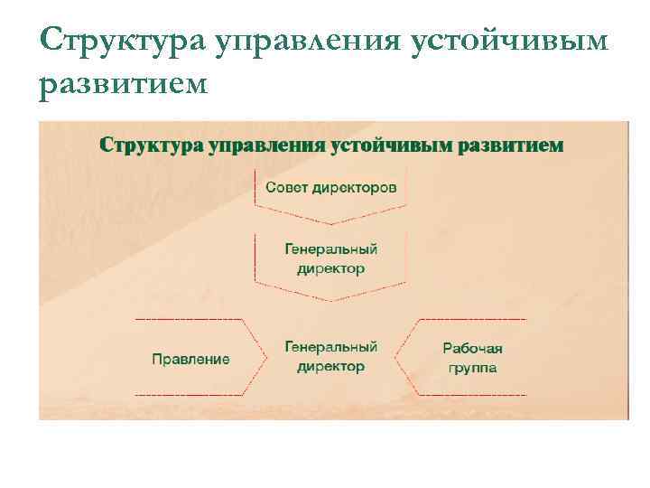Структура управления устойчивым развитием 