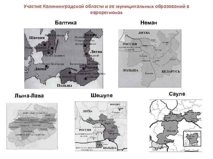Участие Калининградской области и ее муниципальных образований в еврорегионах Балтика Лына-Лава Неман Шешупе Сауле