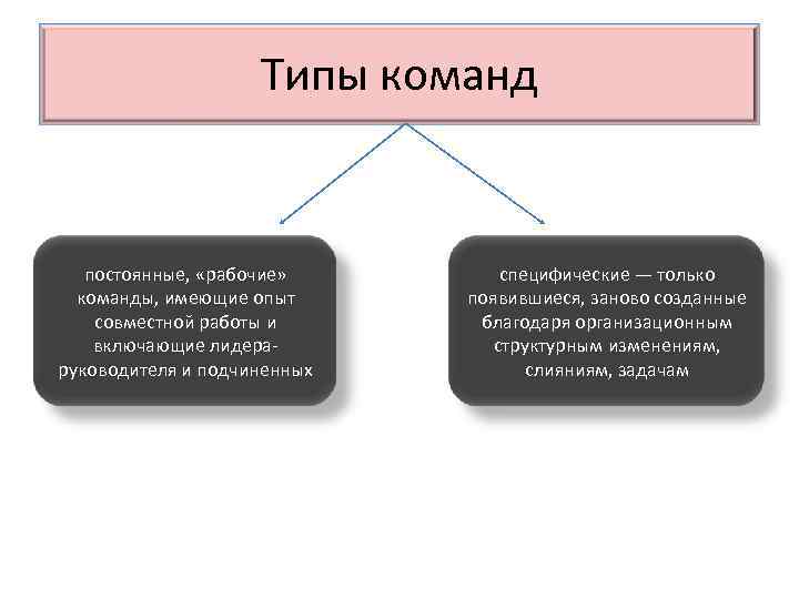Типы команд постоянные, «рабочие» команды, имеющие опыт совместной работы и включающие лидераруководителя и подчиненных