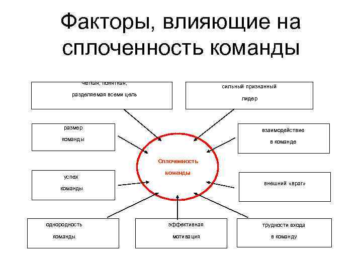 Факторы, влияющие на сплоченность команды четкая, понятная, сильный признанный разделяемая всеми цель лидер размер