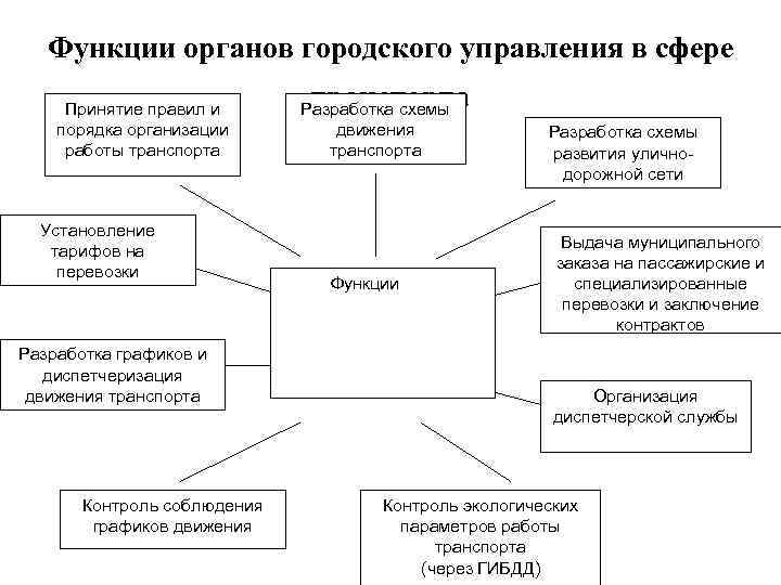 Функции органов городского управления в сфере Принятие правил и порядка организации работы транспорта Установление