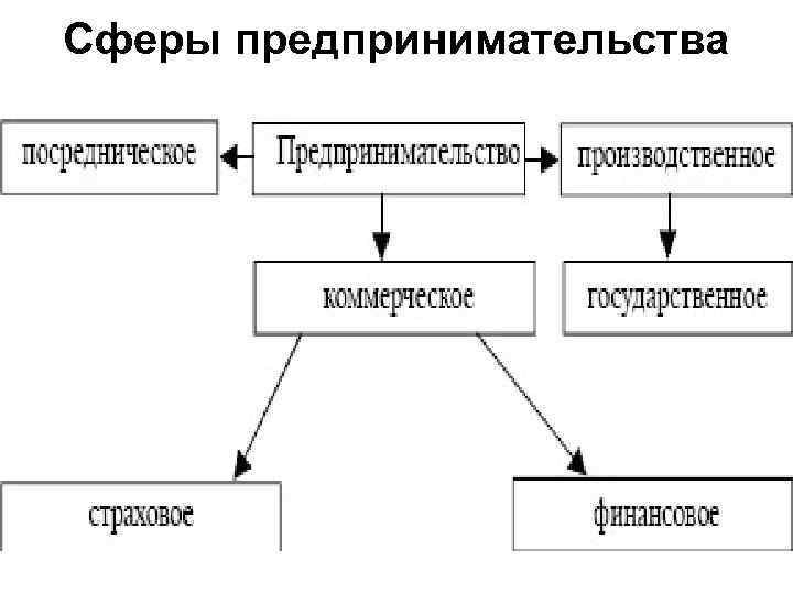 Сферы предпринимательства