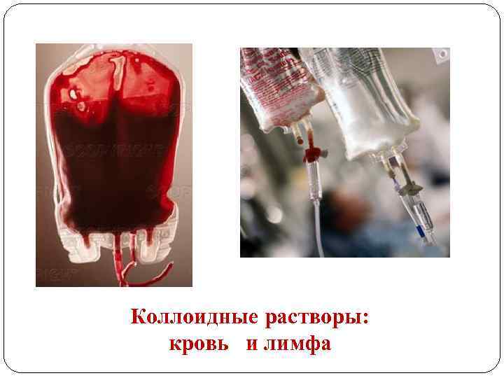 Коллоидные растворы: кровь и лимфа 