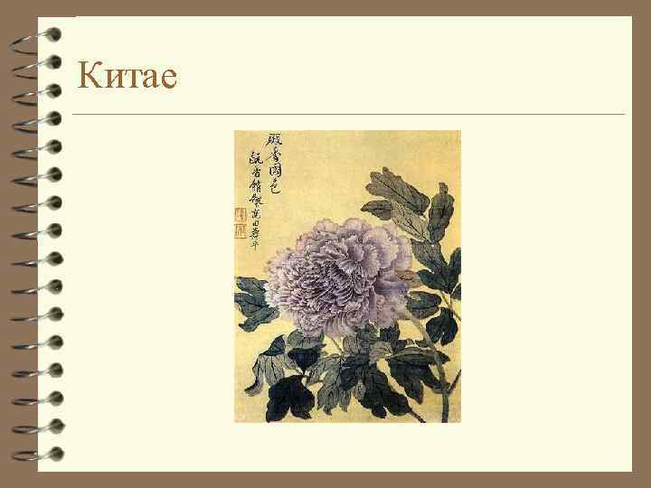 Китае 