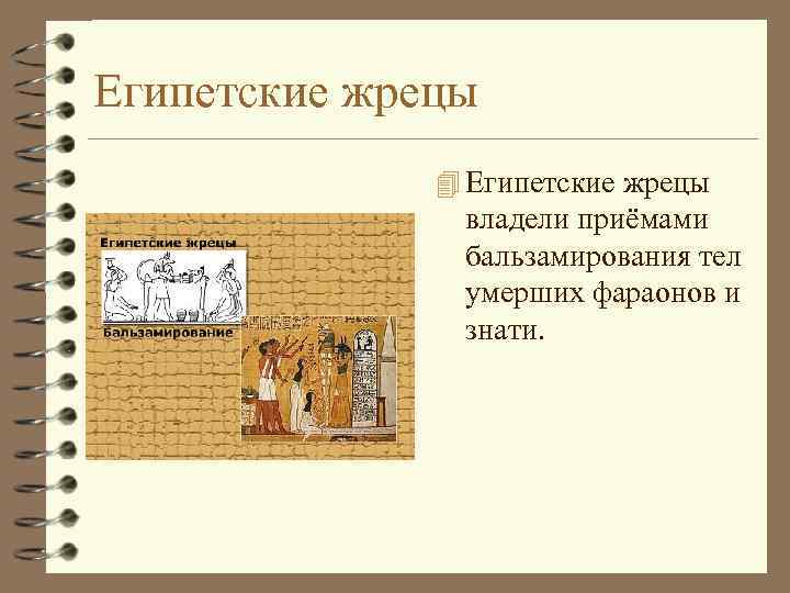 Египетские жрецы 4 Египетские жрецы владели приёмами бальзамирования тел умерших фараонов и знати. 