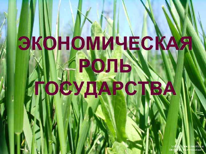 ЭКОНОМИЧЕСКАЯ РОЛЬ ГОСУДАРСТВА 