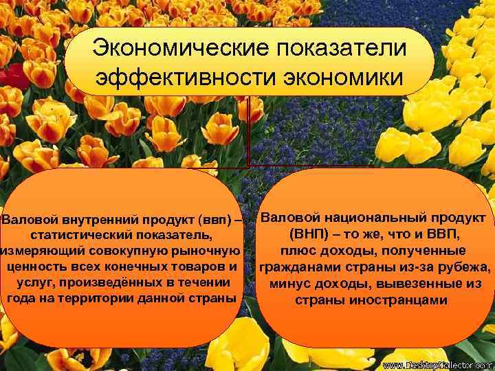 Экономические показатели эффективности экономики Валовой внутренний продукт (ввп) – статистический показатель, измеряющий совокупную рыночную