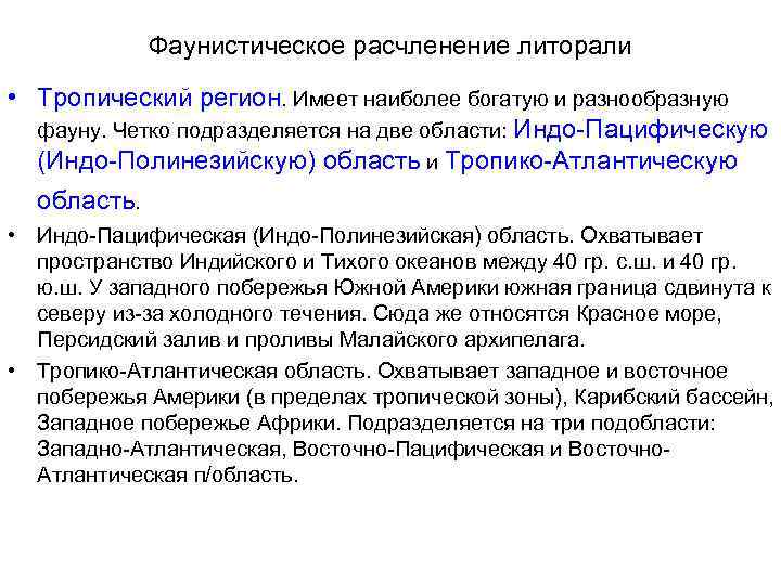 Фаунистическое расчленение литорали • Тропический регион. Имеет наиболее богатую и разнообразную фауну. Четко подразделяется