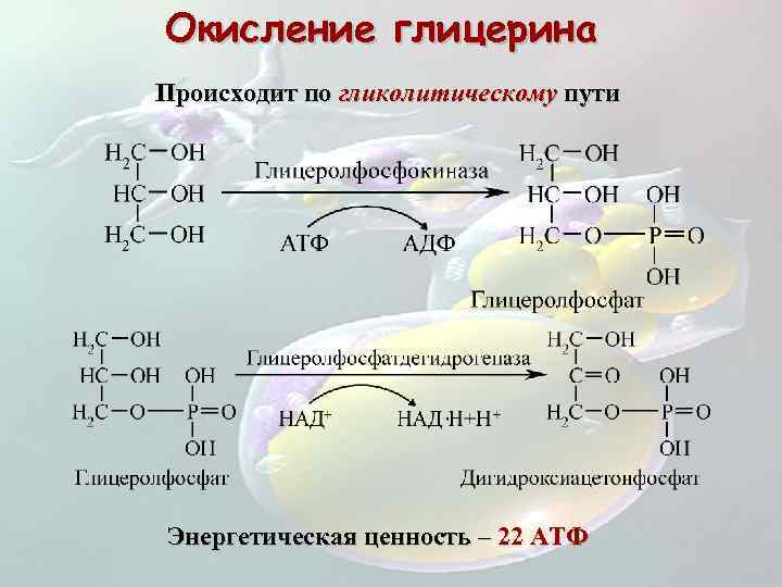 Анализ глицерина