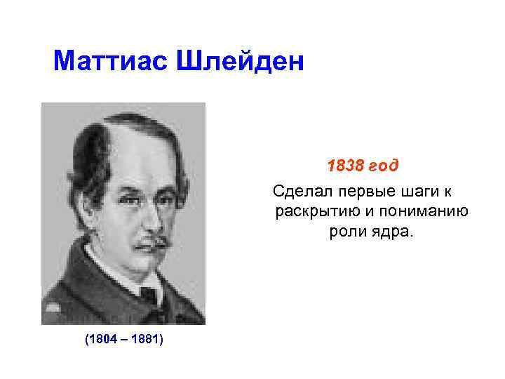 Маттиас Шлейден 1838 год Сделал первые шаги к раскрытию и пониманию роли ядра. (1804