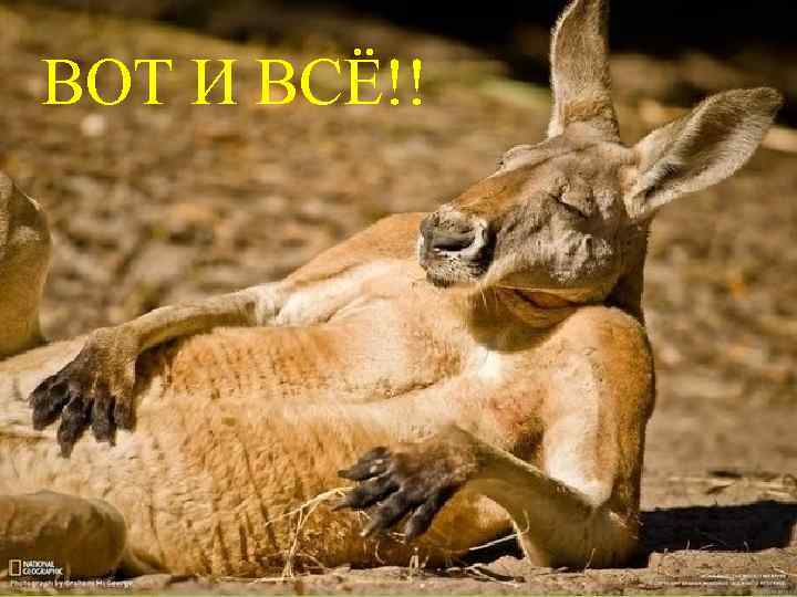 ВОТ И ВСЁ!! 