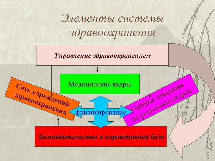 Элементы системы здравоохранения Управление здравоохранением Медицинские кадры Сет ия ь уч ден ров е