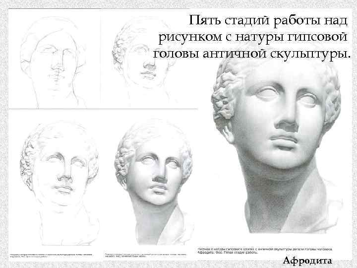 Пять стадий работы над рисунком с натуры гипсовой головы античной скульптуры. Афродита 