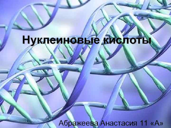 Нуклеиновые кислоты Абражеева Анастасия 11 «А» 