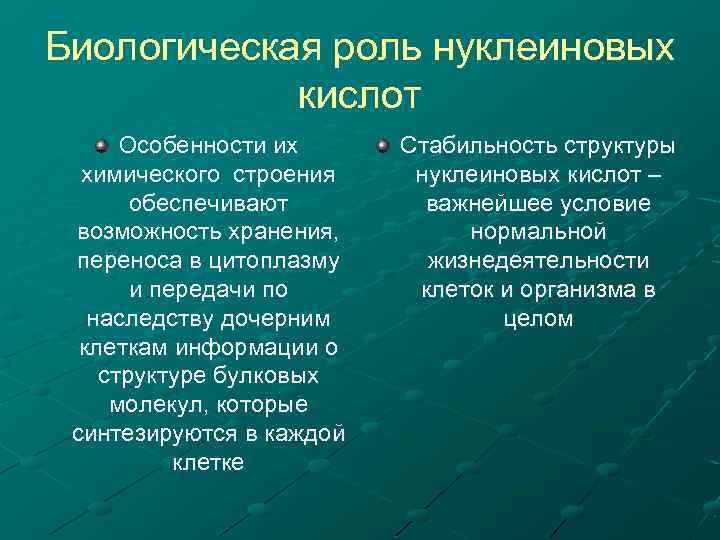 Биологическая роль нуклеиновых кислот Особенности их химического строения обеспечивают возможность хранения, переноса в цитоплазму
