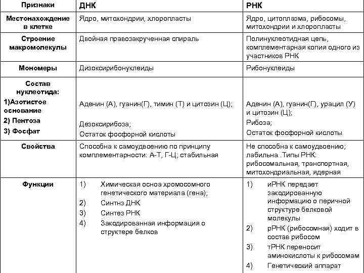 Сравнение днк и рнк таблица. Строение и функции ДНК И РНК таблица. Функции в клетке ДНК И РНК таблица. Нахождение в клетке ДНК И РНК таблица. Таблица строение и функции ДНК И РНК структура.