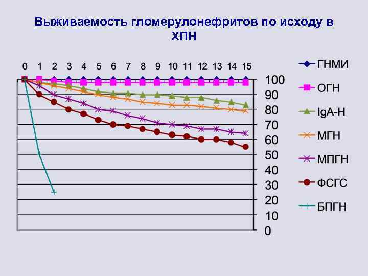 Выживаемость гломерулонефритов по исходу в ХПН 