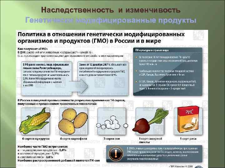 Наследственность и изменчивость Генетически модифицированные продукты 