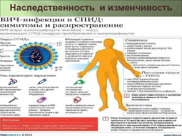 Наследственность и изменчивость 