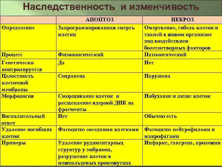 Отличие некроза от апоптоза. Некроз и апоптоз таблица. Сравнительная таблица апоптоза и некроза. Апоптоз и некроз. Сходства и различия некроза и апоптоза.