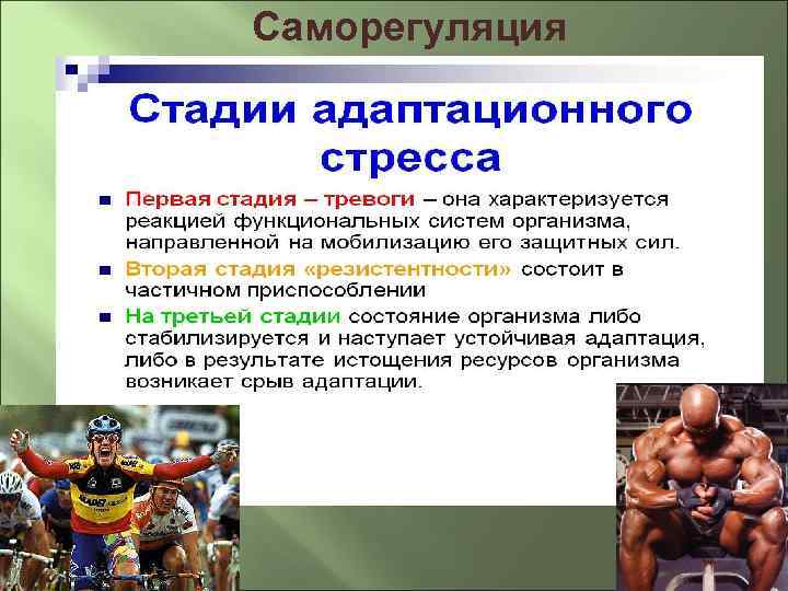 Саморегуляция 