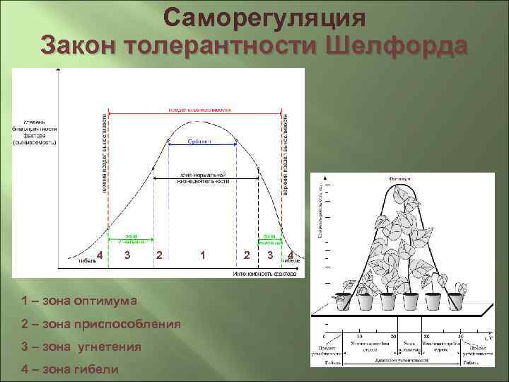 УПРАВЛЕНИЕ КАЧЕСТВОМ ОКРУЖАЮЩЕЙ СРЕДЫ и ЗАКОНЫ ЭКОЛОГИИ