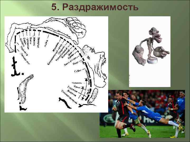 5. Раздражимость 