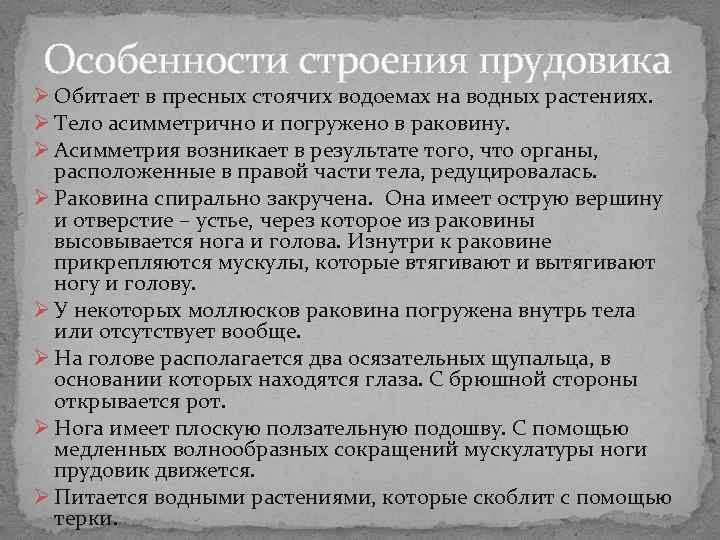 Особенности строения прудовика Ø Обитает в пресных стоячих водоемах на водных растениях. Ø Тело Особенности строения прудовика Ø Обитает в пресных стоячих водоемах на водных растениях. Ø Тело
