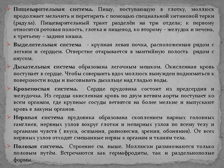 Ø Пищеварительная система. Пищу, поступающую в глотку, моллюск продолжает мельчить и перетирать с помощью Ø Пищеварительная система. Пищу, поступающую в глотку, моллюск продолжает мельчить и перетирать с помощью