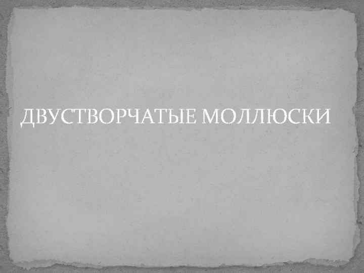 ДВУСТВОРЧАТЫЕ МОЛЛЮСКИ ДВУСТВОРЧАТЫЕ МОЛЛЮСКИ