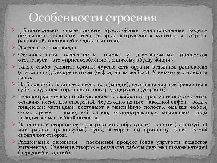 Особенности строения Ø билатерально симметричные трехслойные малоподвижные водные безголовые животные, тело которых погружено Особенности строения Ø билатерально симметричные трехслойные малоподвижные водные безголовые животные, тело которых погружено