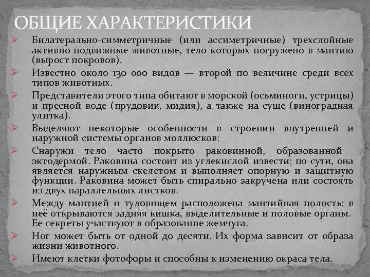 ОБЩИЕ ХАРАКТЕРИСТИКИ Ø Билатерально-симметричные (или ассиметричные) трехслойные активно подвижные животные, тело которых погружено в ОБЩИЕ ХАРАКТЕРИСТИКИ Ø Билатерально-симметричные (или ассиметричные) трехслойные активно подвижные животные, тело которых погружено в