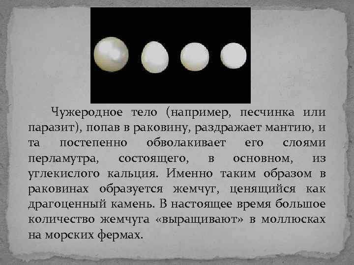 Чужеродное тело (например, песчинка или паразит), попав в раковину, раздражает мантию, и та Чужеродное тело (например, песчинка или паразит), попав в раковину, раздражает мантию, и та