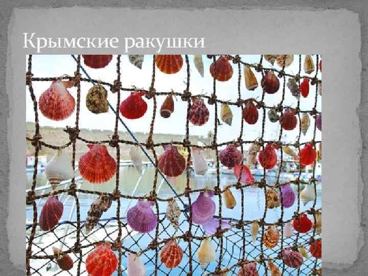 Крымские ракушки Крымские ракушки